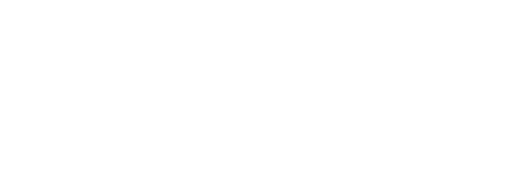 Ventura Associates France